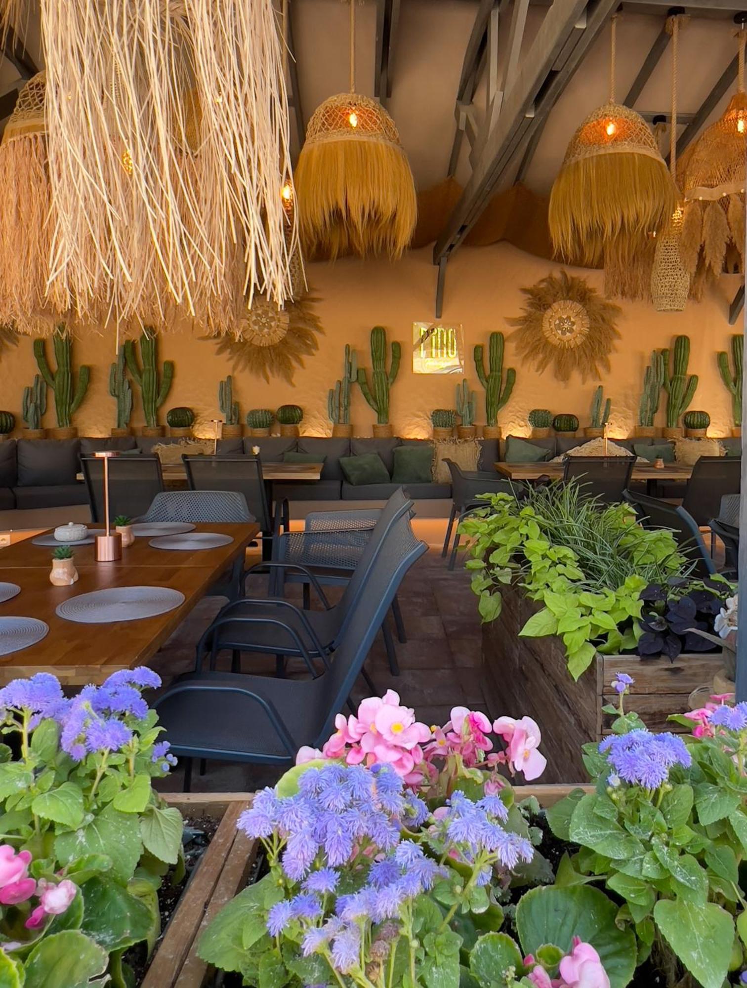 Pino - Villa, Casa, Cucina Е Terrazza Albena Buitenkant foto